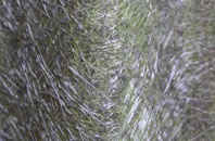 Swynnerton fibreglass roof work